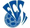 logo de l'équipe SARREBOURG FC